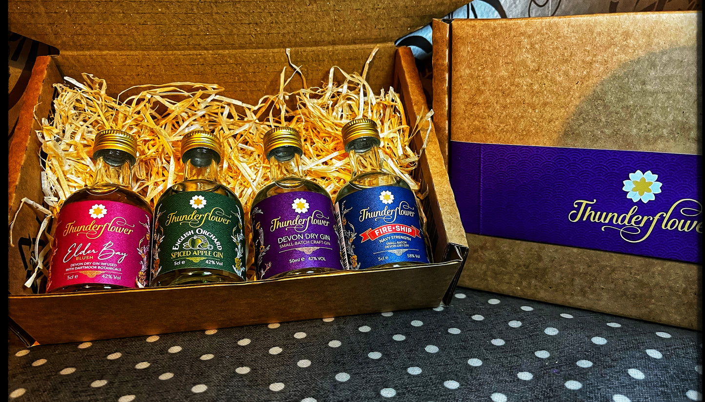 4 Gin Mini Gift Pack